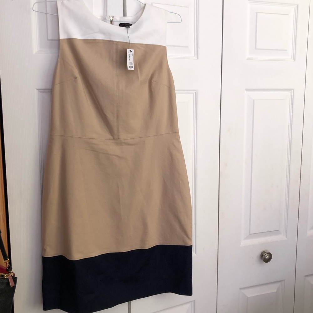 The Limited Colorblock Dress